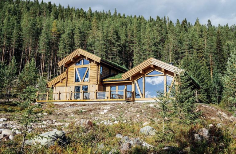 1L Modern log glass (15)