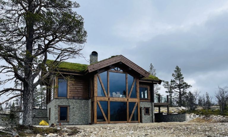 1j Modern log glass (16)