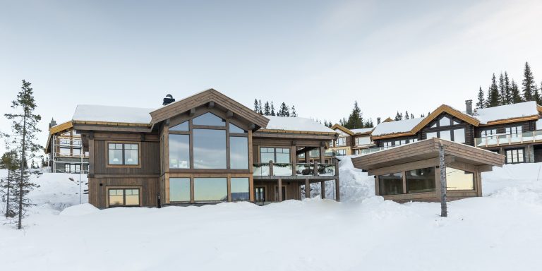 Modern log glass (20)